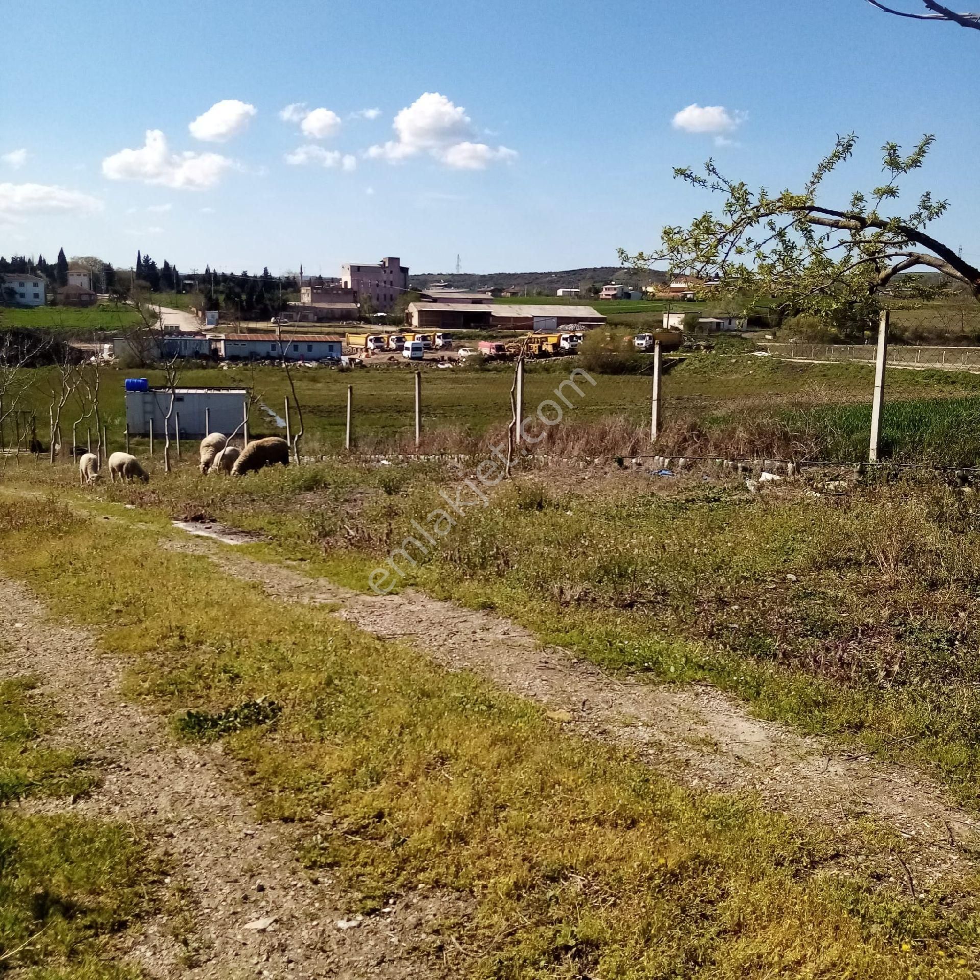 Bengisu Gayrimenkul Den Satılık Tarla - Görsel 30