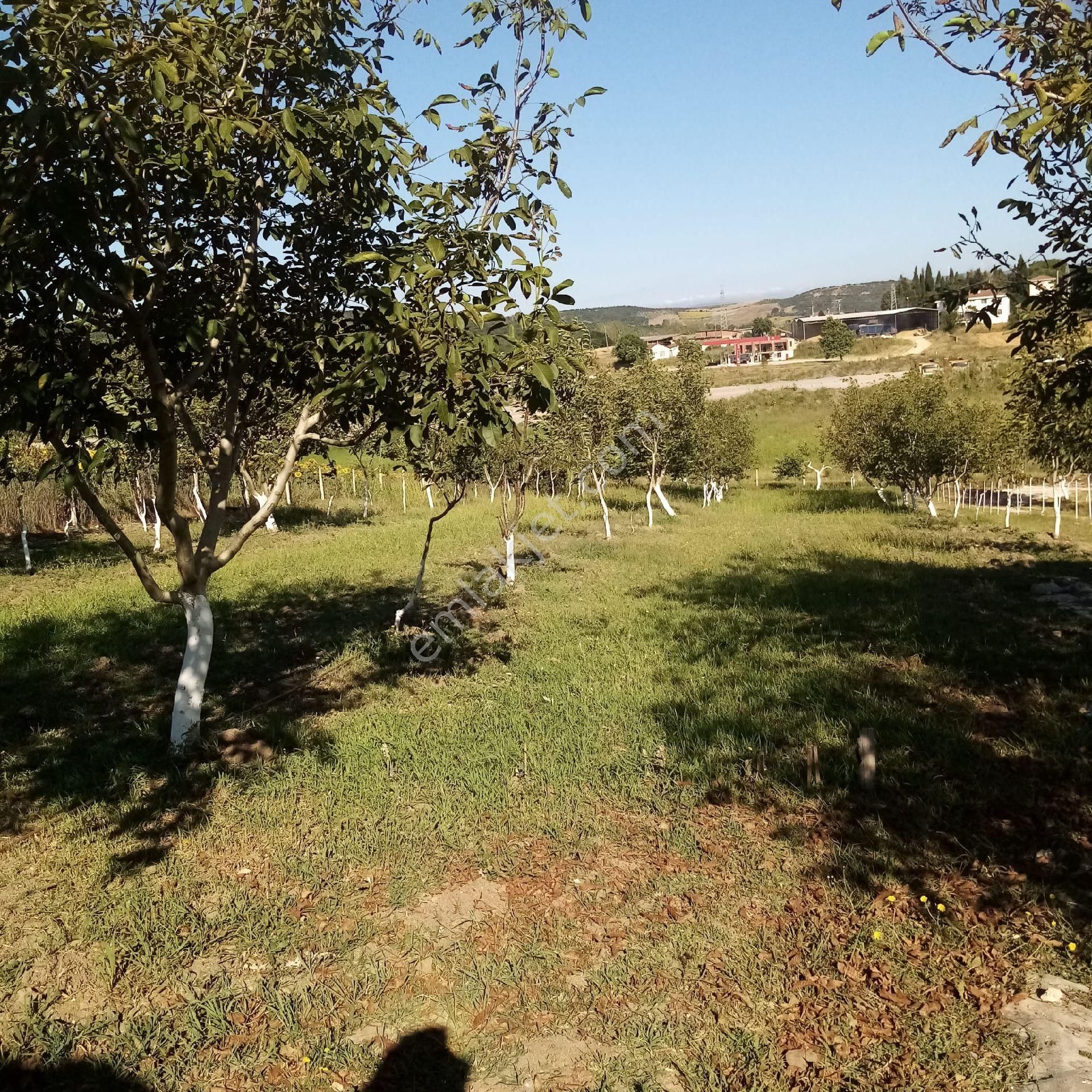 Bengisu Gayrimenkul Den Satılık Tarla - Görsel 19