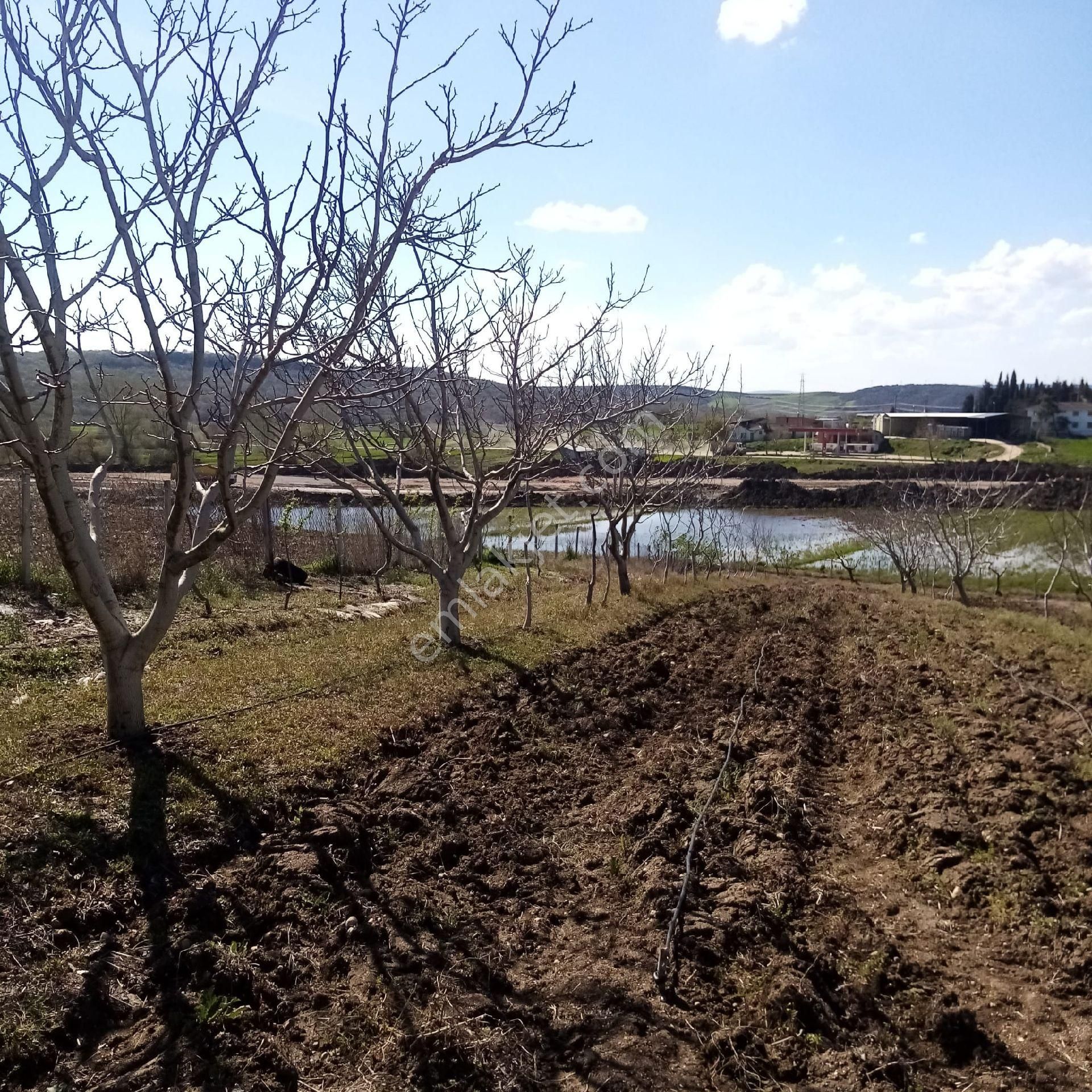 Bengisu Gayrimenkul Den Satılık Tarla - Görsel 17