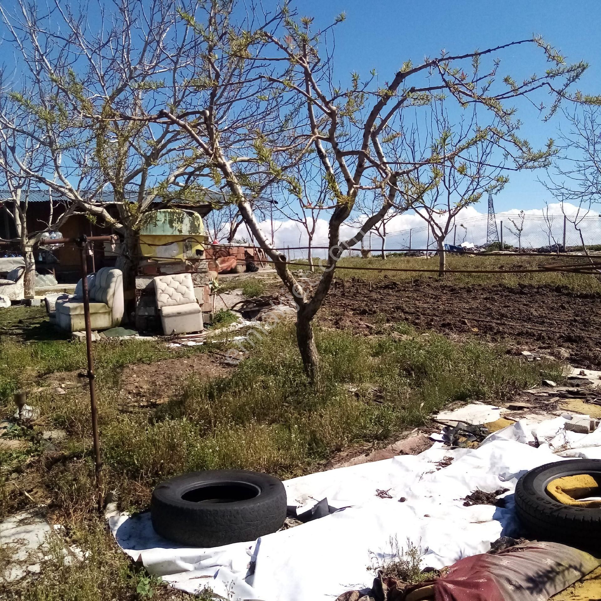 Bengisu Gayrimenkul Den Satılık Tarla - Görsel 21