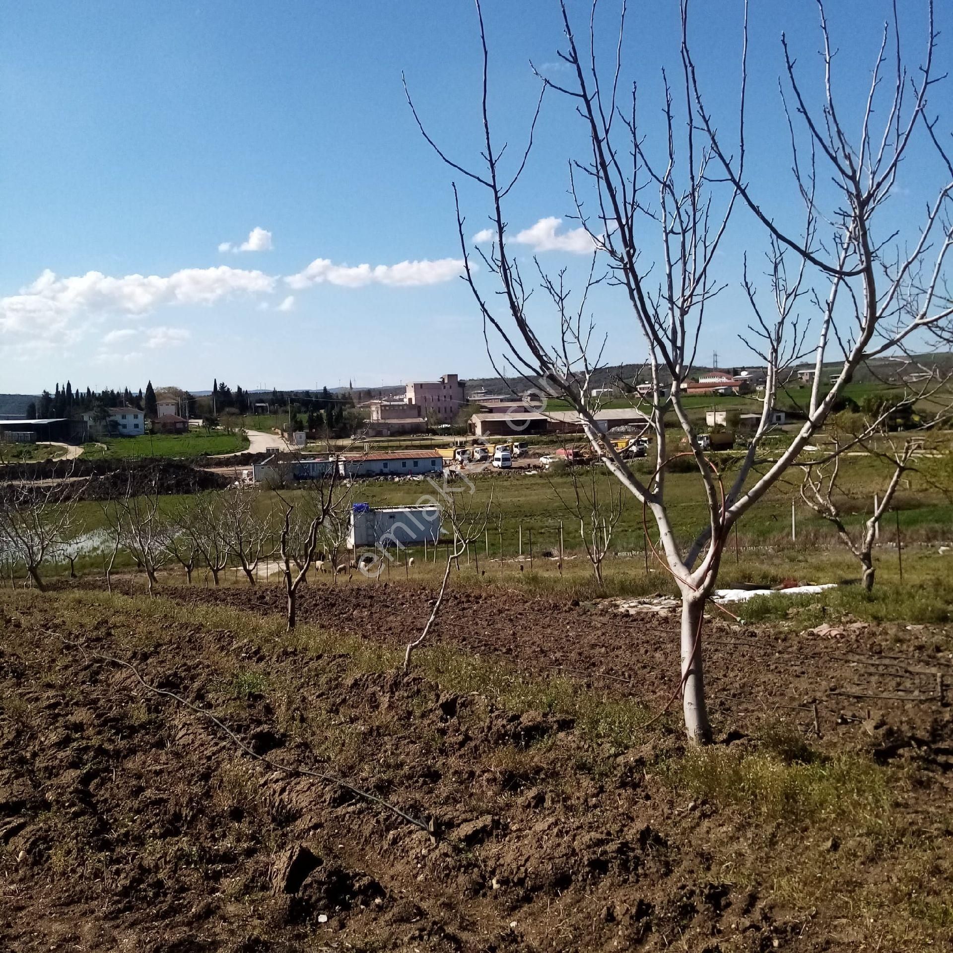 Bengisu Gayrimenkul Den Satılık Tarla - Görsel 26