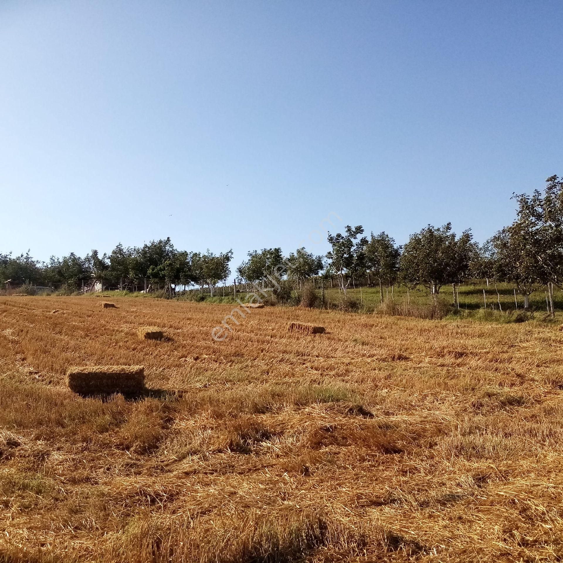 Bengisu Gayrimenkul Den Satılık Tarla - Görsel 13