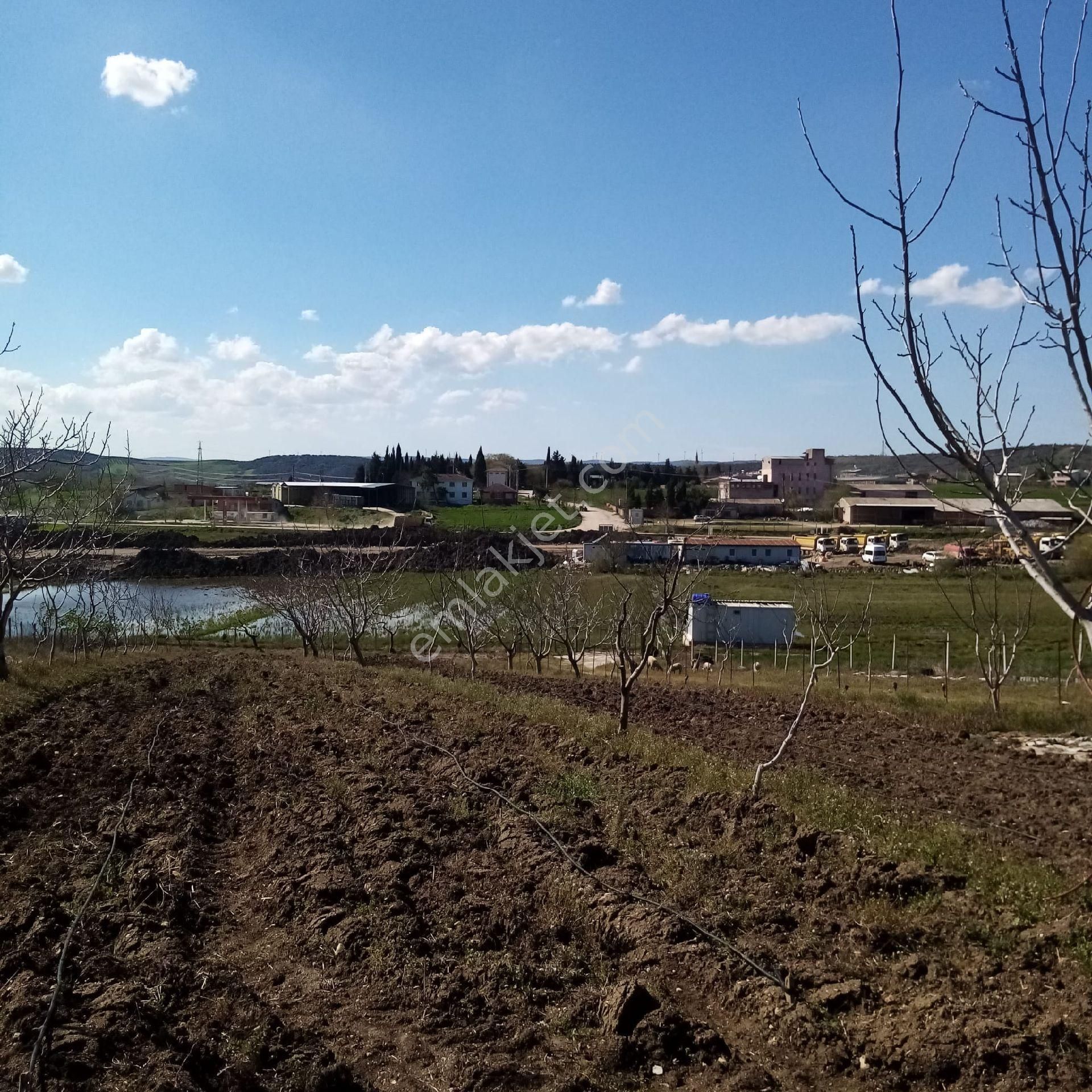 Bengisu Gayrimenkul Den Satılık Tarla - Görsel 11