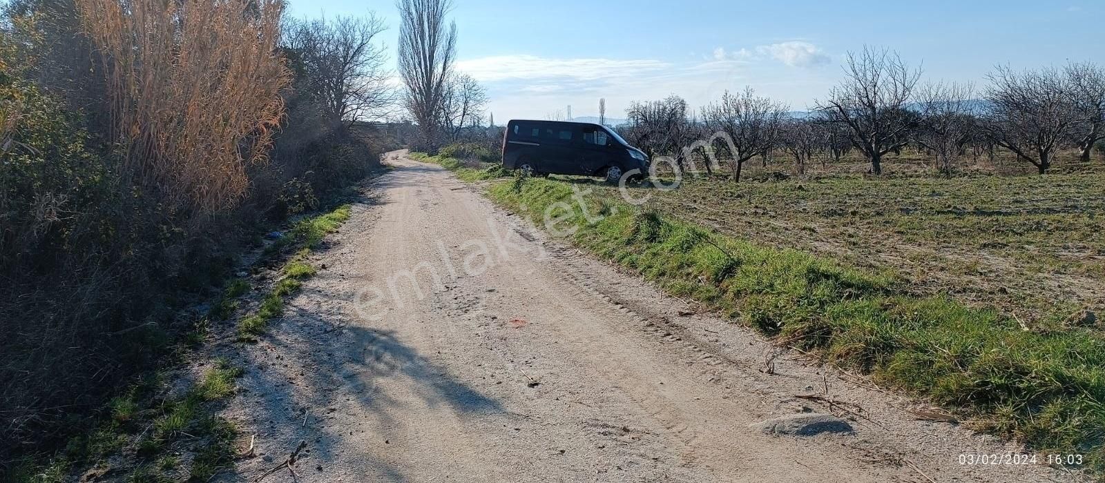 Lapseki Çardak Bld. (Tekke) Satılık Zeytinlik Lapseki /cardak Satilik Zeytinlik