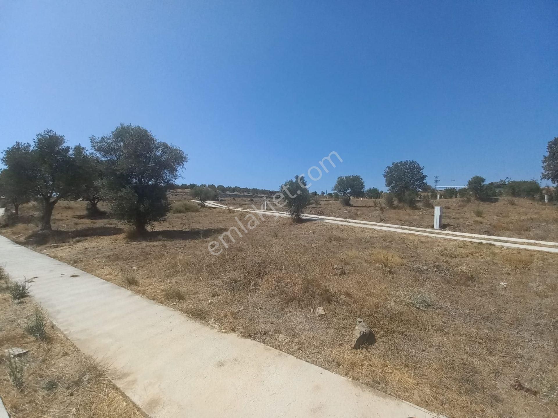 Urla Bademler'de Müstakil Yaşam - Görsel 10