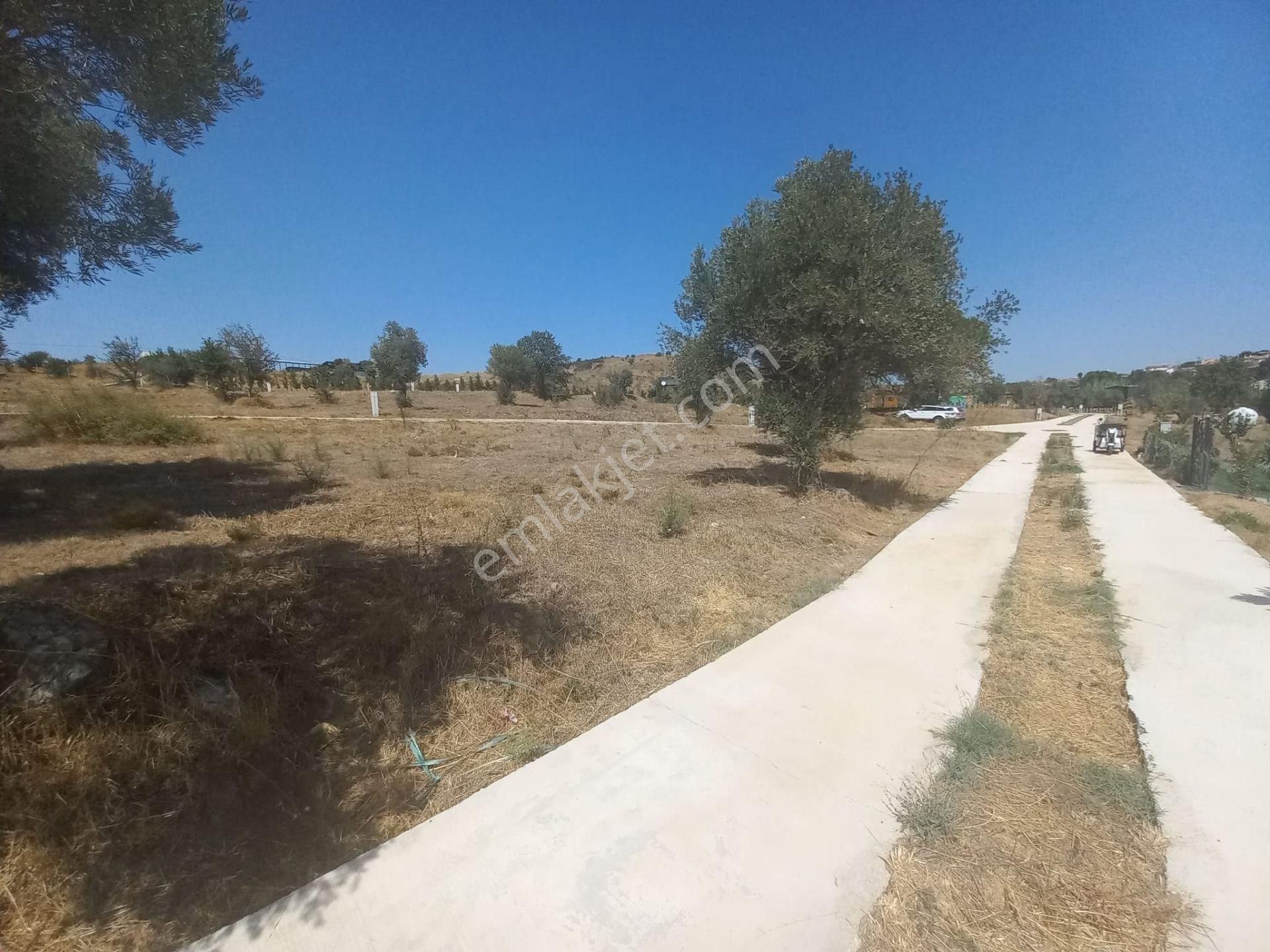 Urla Bademler'de Müstakil Yaşam - Görsel 7
