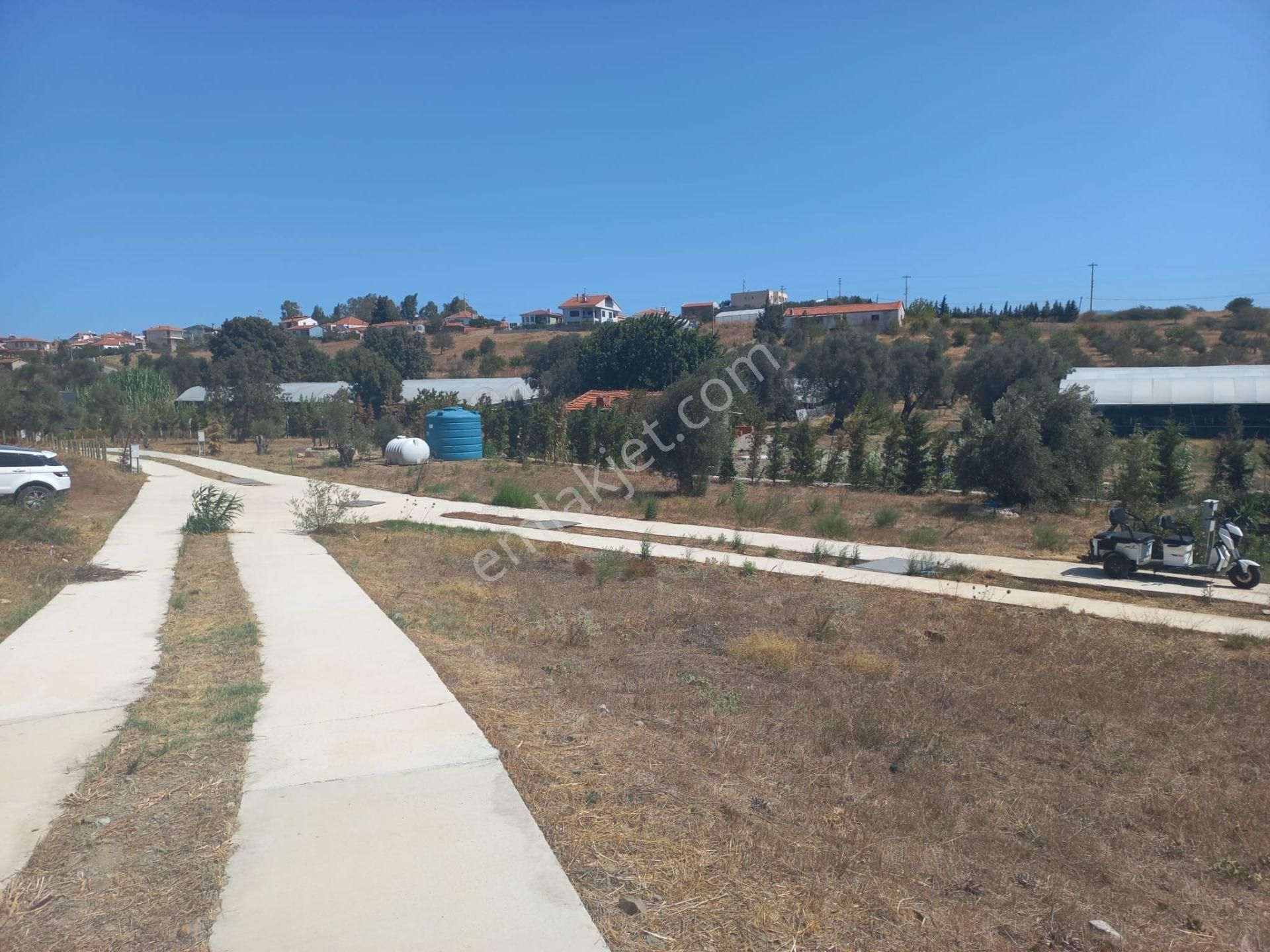 Urla Bademler'de Müstakil Yaşam - Görsel 19