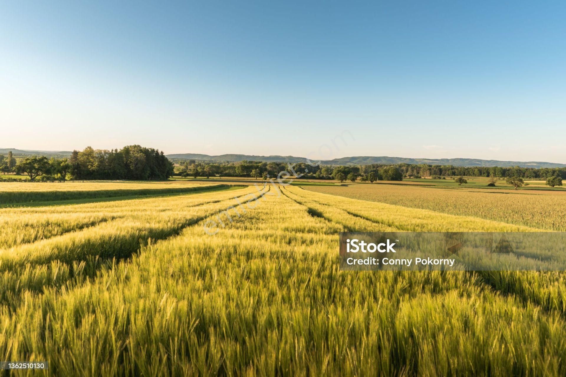 Sahibinden Yatırımlık Tarla