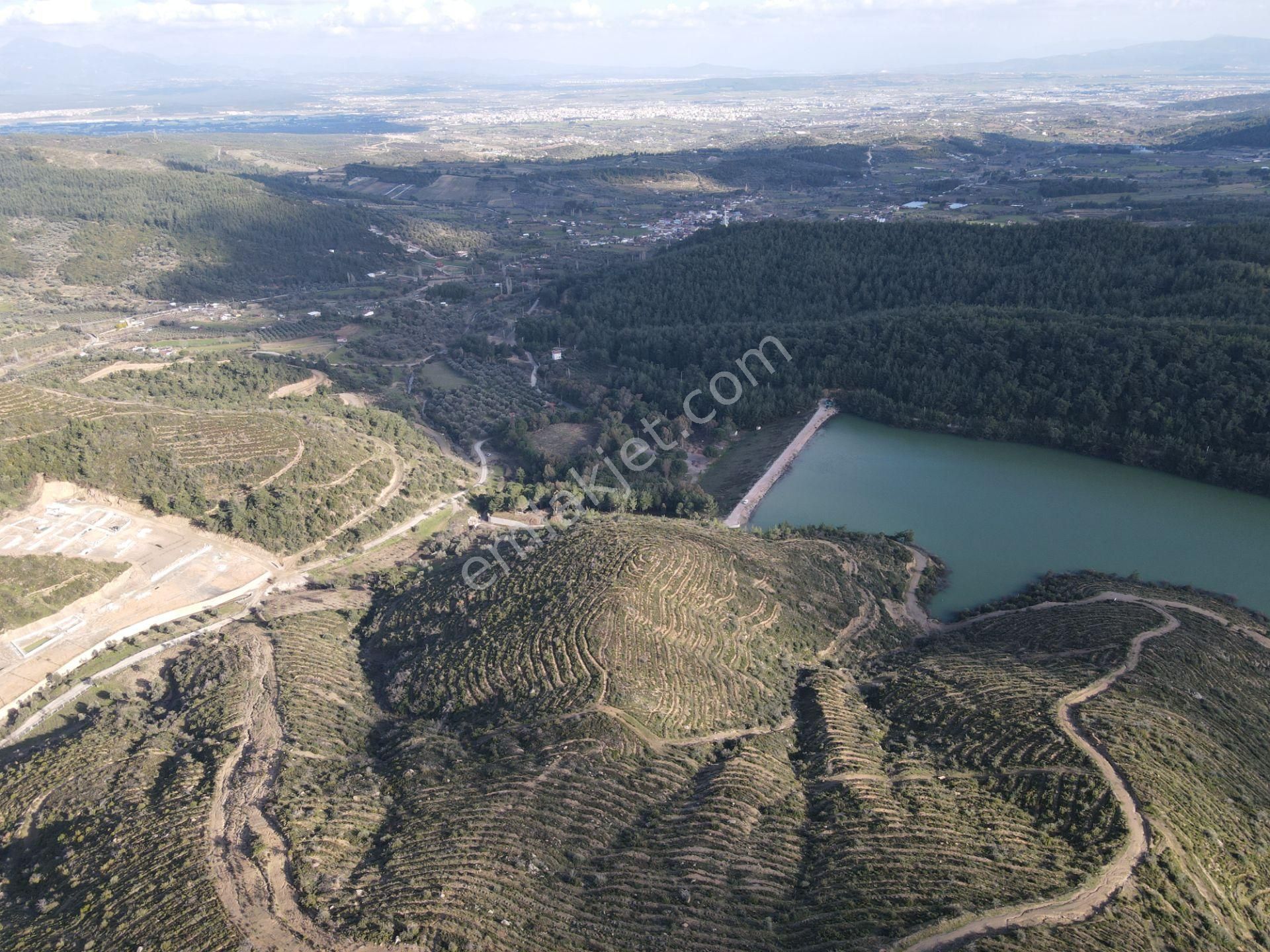 Çatalca'da Satılık 251 M2 Tapulu Taş Duvar Çevrili Doğa Harikası Bahçeler - Görsel 15
