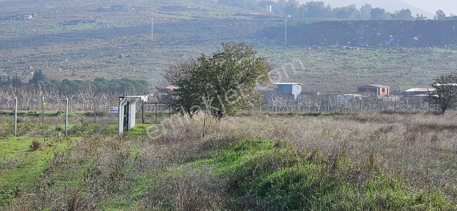 Foça Kemal Atatürk Satılık Tarla Foça Gerenköyde 450 Mk Bahçem Acil Satılık