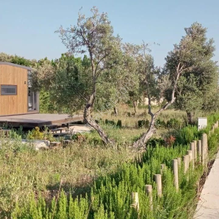 Köy Bademler Kooperatifinde Tiny House Ve Karavan İçin Özel Yaşam Alanı Parseller - Görsel 11