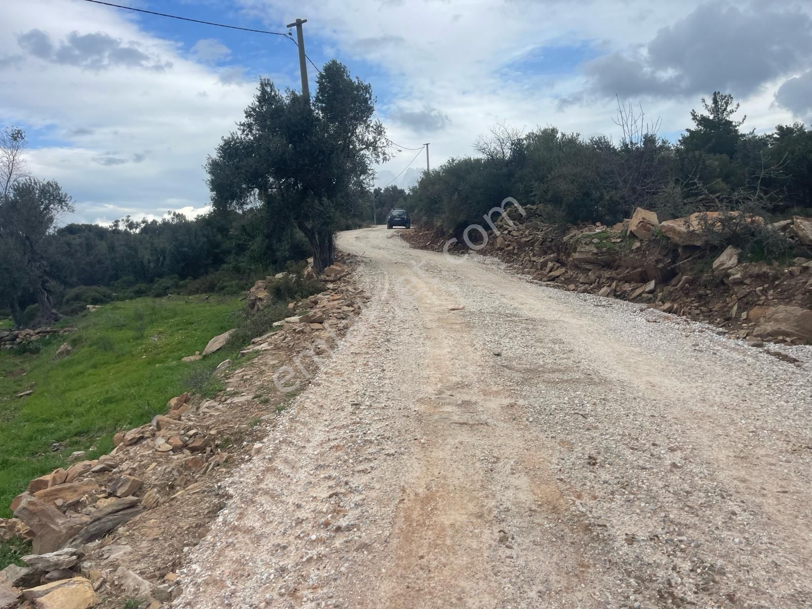 Milas Çiftlik Köyü'nde Fırsat Tarla - Görsel 6