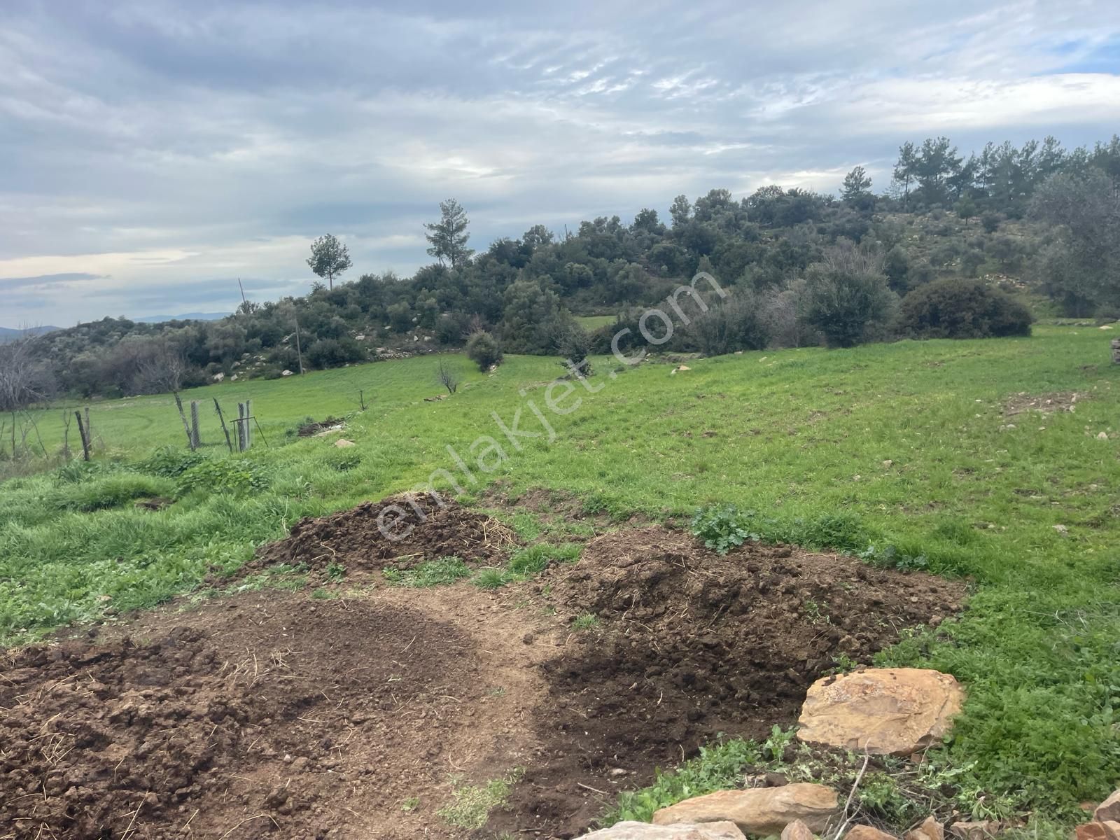 Milas Çiftlik Köyü'nde Fırsat Tarla - Görsel 7