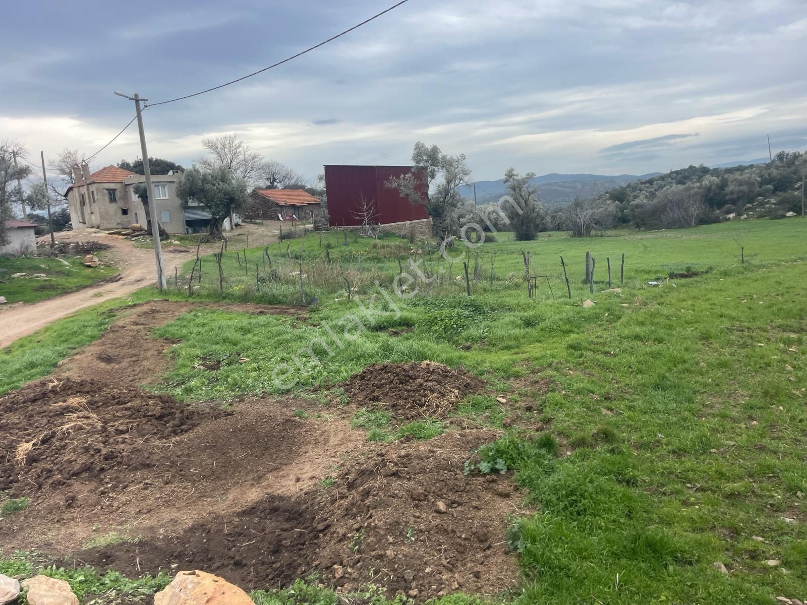 Milas Çiftlik Köyü'nde Fırsat Tarla - Görsel 4