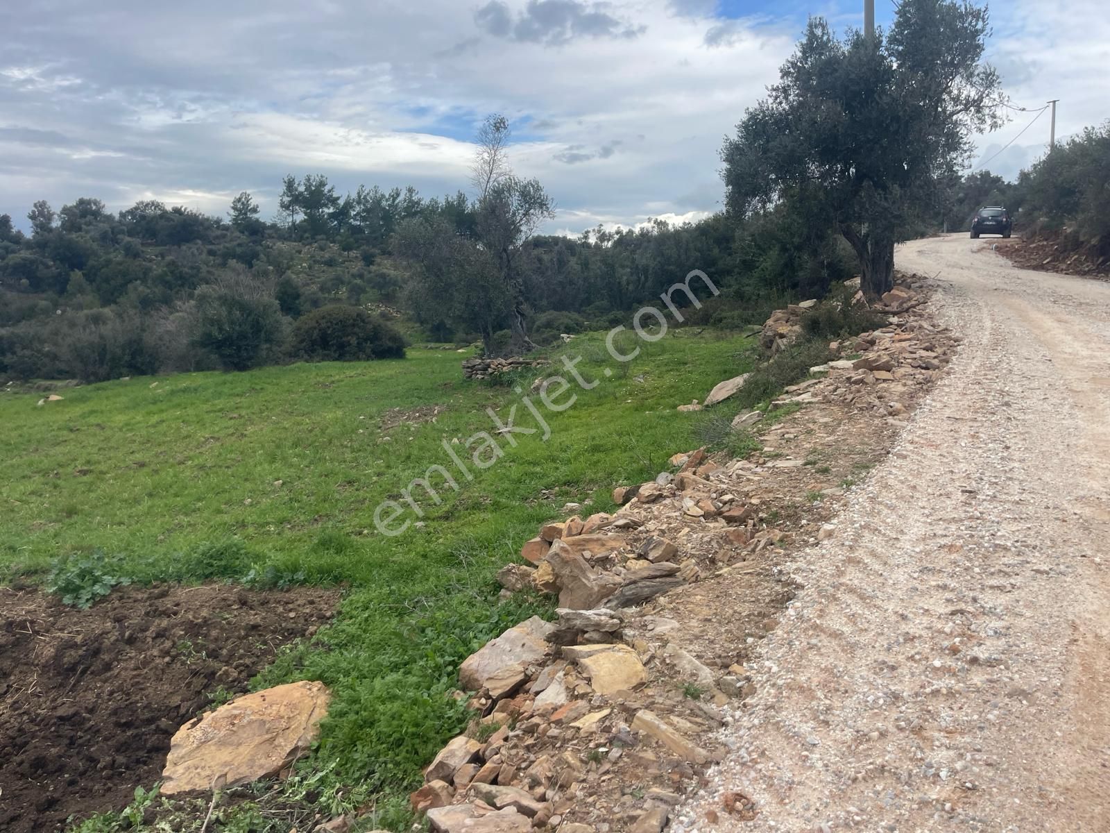 Milas Çiftlik Köyü'nde Fırsat Tarla - Görsel 8