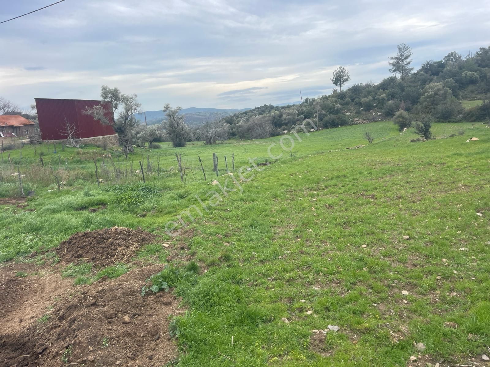 Milas Çiftlik Köyü'nde Fırsat Tarla - Görsel 3