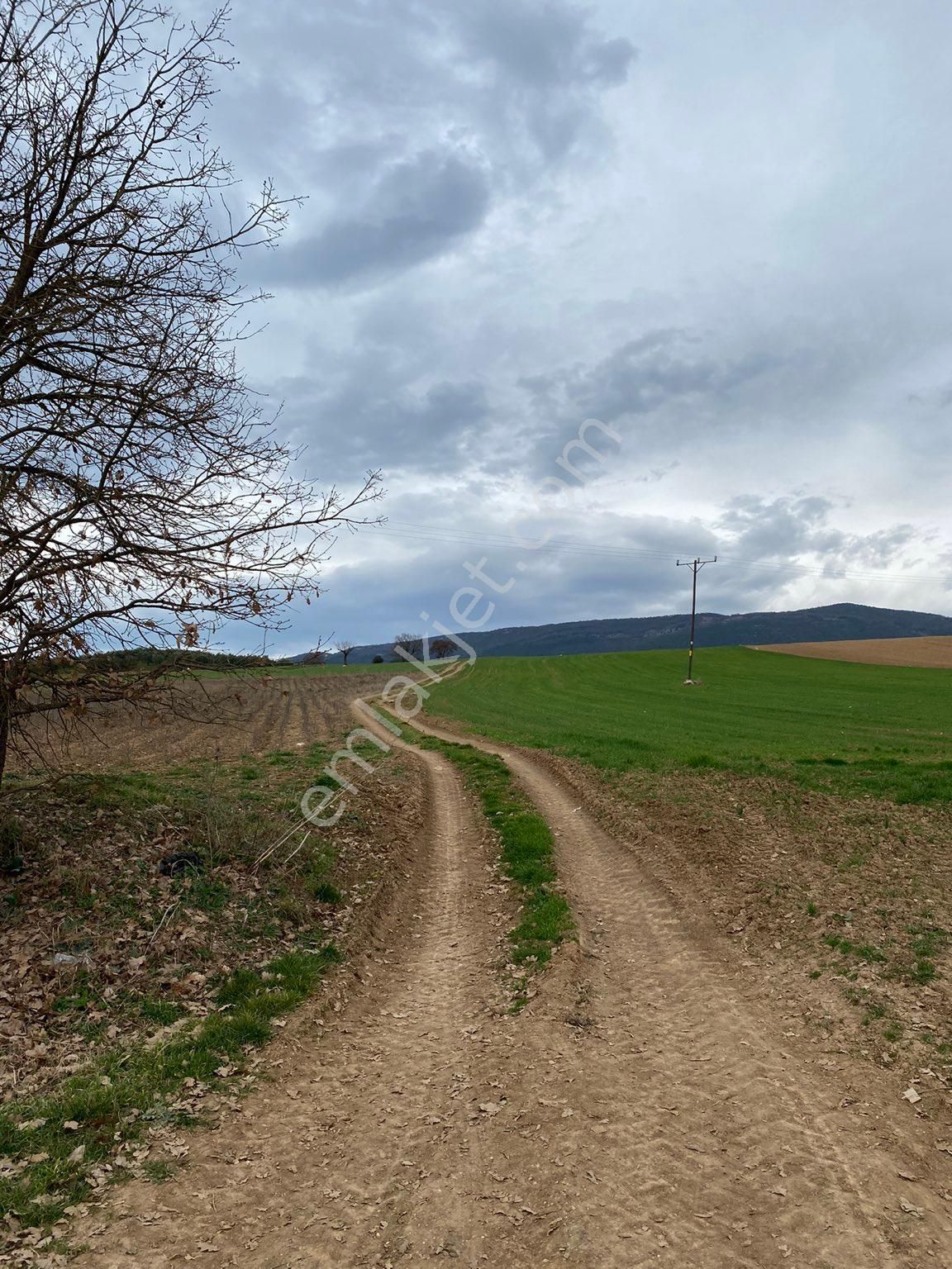 Yenişehir Eğerce Satılık Tarla Bursa /yenişehir Eğerce Mahallesinde 5.168m2 Köye Yakın Mesafede Yatırıma Uygun Satılık Arazi