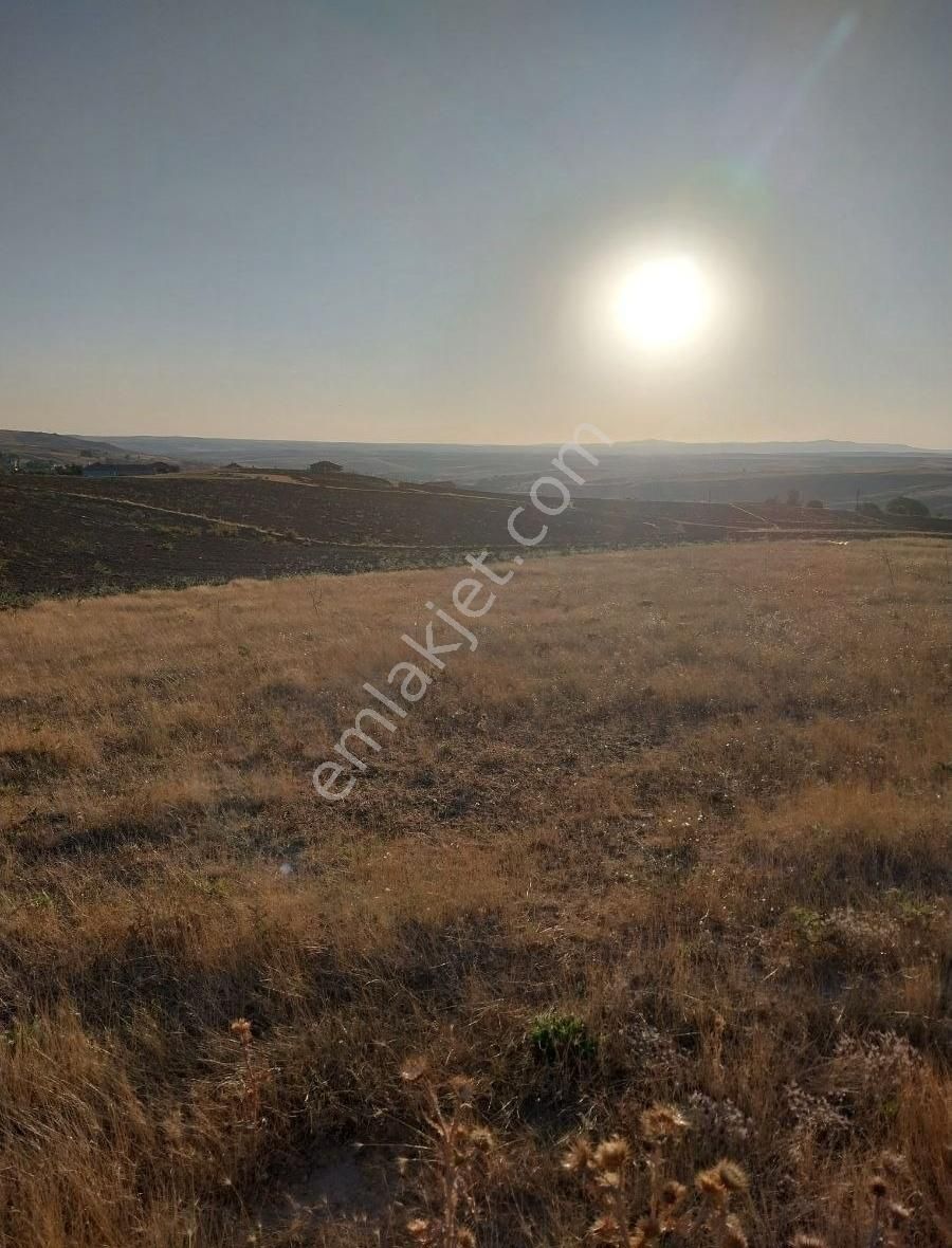 Yozgat Merkez Esenli Köyü (Gelingüllü) Satılık Konut İmarlı Yozgat Esenlide 571 metre Arsa