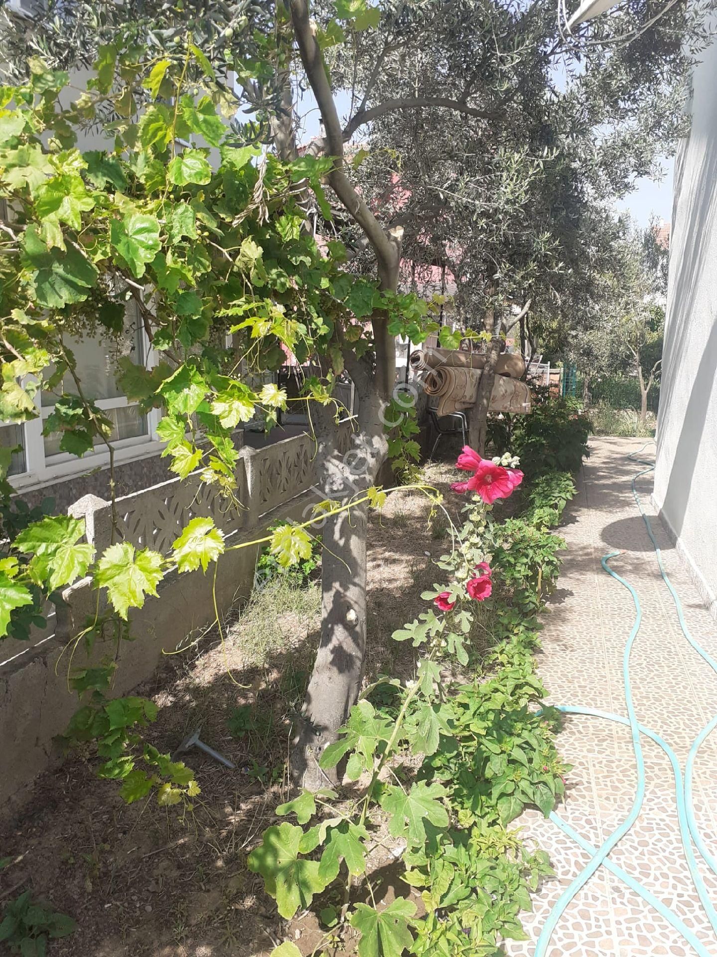 Gömeç Te Satılık Villa - Görsel 14