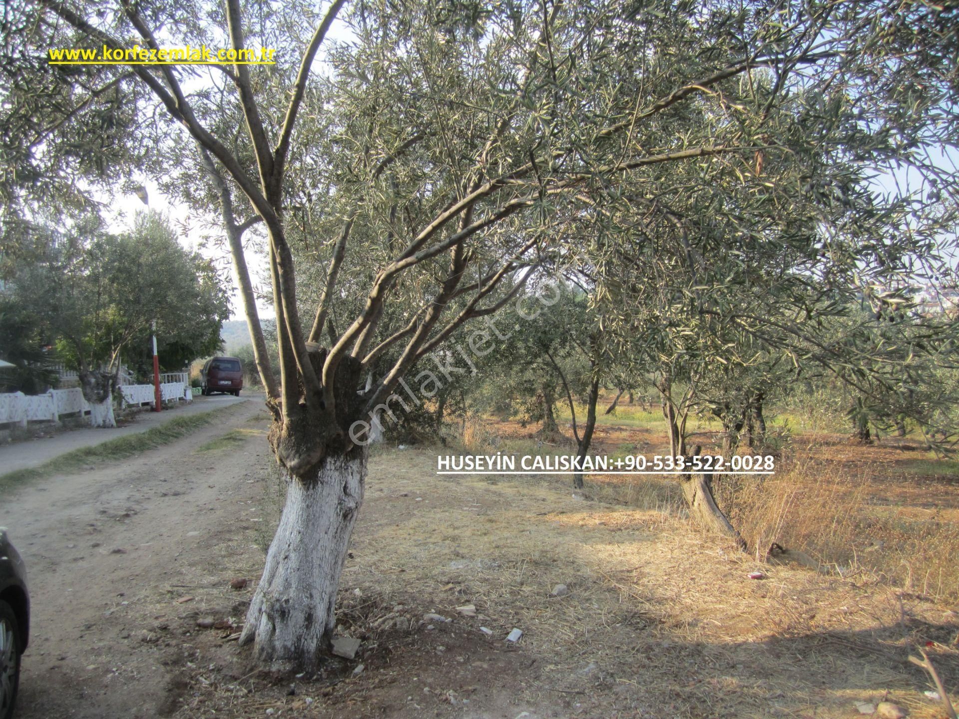 Ayvalık Sakarya Satılık Muhtelif Arsa Balıkesir Ayvalık Ta 52,767 Metre Kare Arsa.