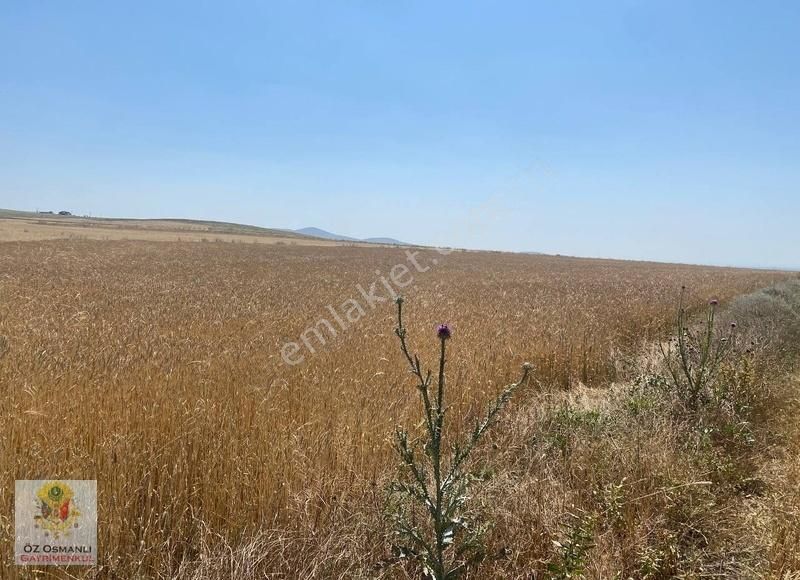 Resmi Yolu Olan 13 Dönüm Kaçırılmayacak Yatırım Tarlası - Görsel 27