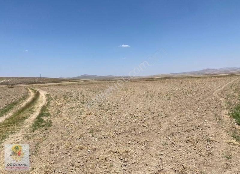 Resmi Yolu Olan 13 Dönüm Kaçırılmayacak Yatırım Tarlası - Görsel 25