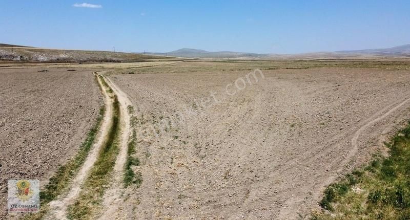 Resmi Yolu Olan 13 Dönüm Kaçırılmayacak Yatırım Tarlası - Görsel 6