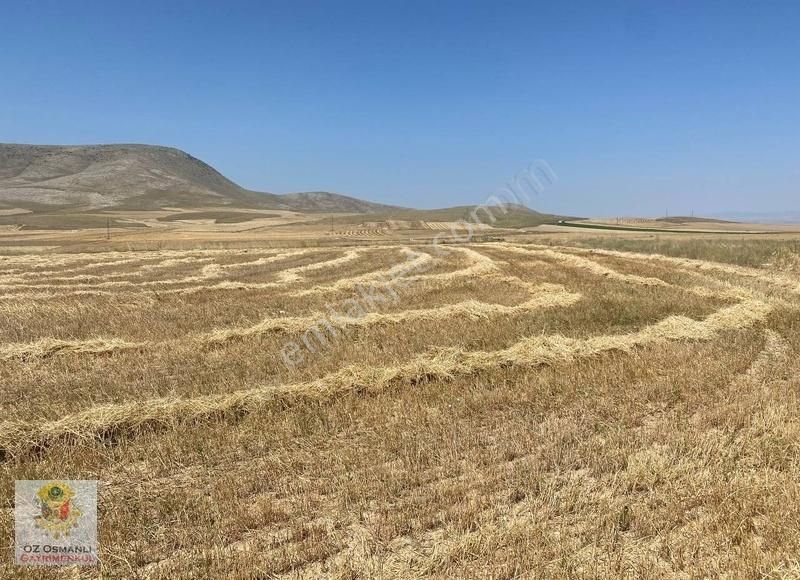 Resmi Yolu Olan 13 Dönüm Kaçırılmayacak Yatırım Tarlası - Görsel 11