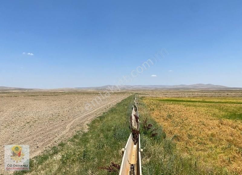 Resmi Yolu Olan 13 Dönüm Kaçırılmayacak Yatırım Tarlası - Görsel 9