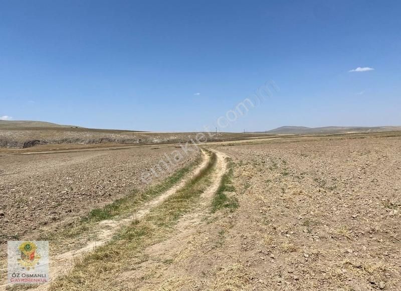 Resmi Yolu Olan 13 Dönüm Kaçırılmayacak Yatırım Tarlası - Görsel 13