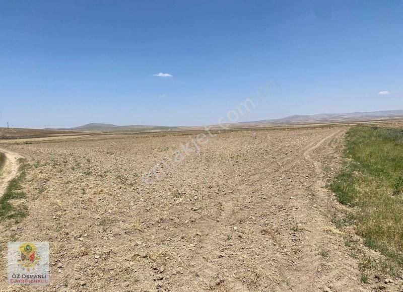 Resmi Yolu Olan 13 Dönüm Kaçırılmayacak Yatırım Tarlası - Görsel 17