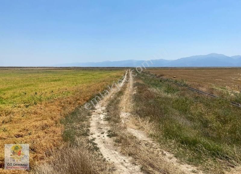 Resmi Yolu Olan 13 Dönüm Kaçırılmayacak Yatırım Tarlası - Görsel 24