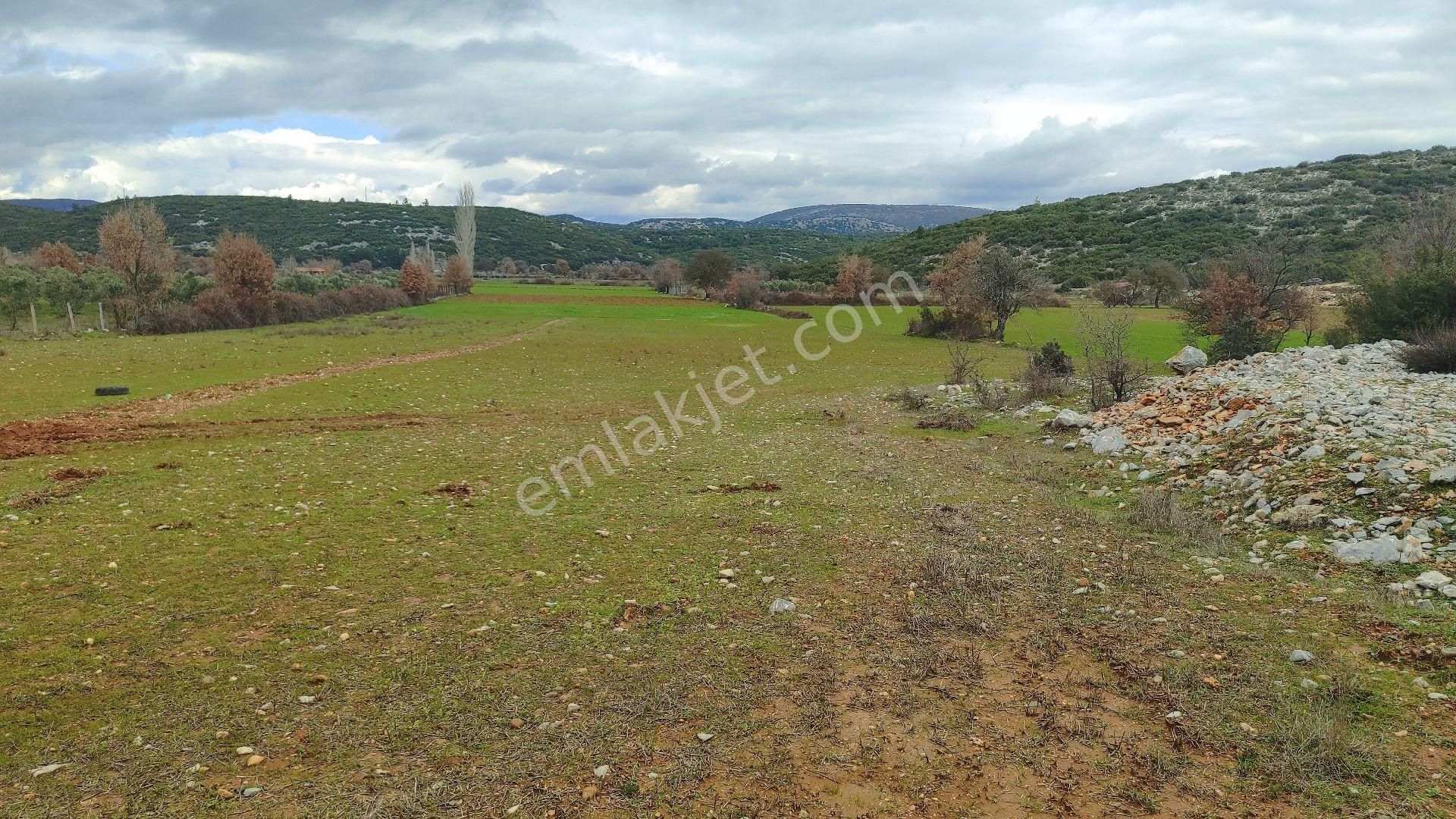 Menteşe Yerkesik Satılık Tarla Muğla Yerkesik Merkeze Çok Yakın Arazi