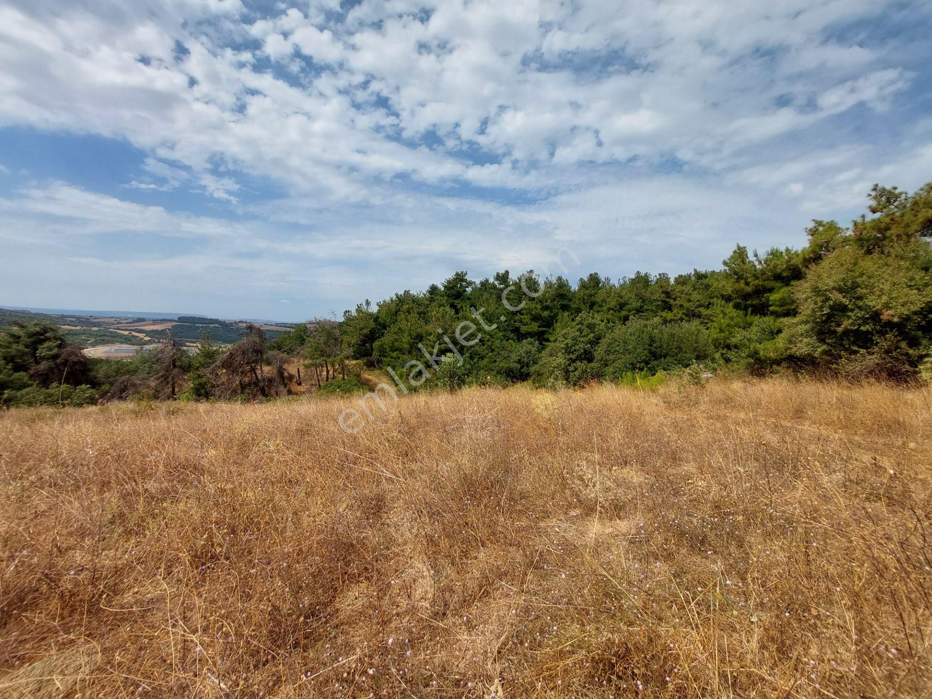 Çanakkale Merkez Yukarı Okçular Köyünde Satılık 10000m2 Tarla - Görsel 14