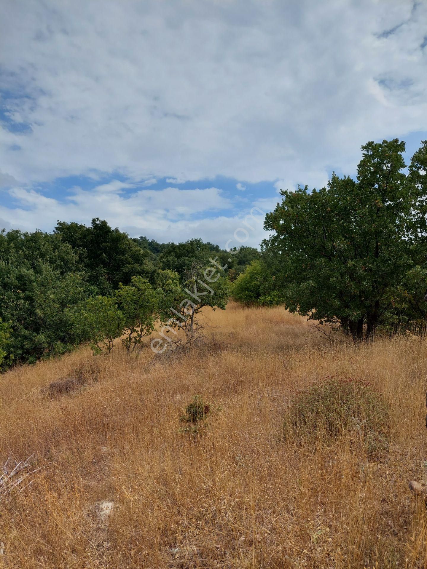 Çanakkale Merkez Yukarı Okçular Köyünde Satılık 10000m2 Tarla - Görsel 2