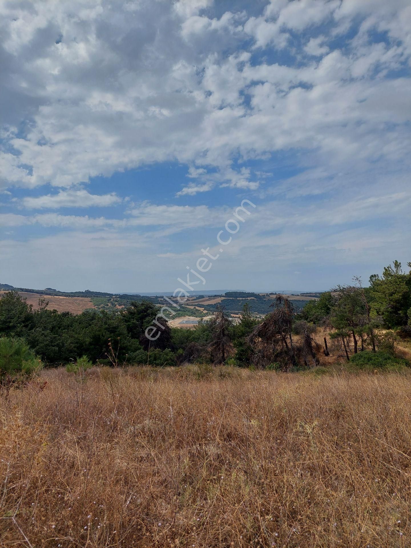 Çanakkale Merkez Yukarı Okçular Köyünde Satılık 10000m2 Tarla - Görsel 7