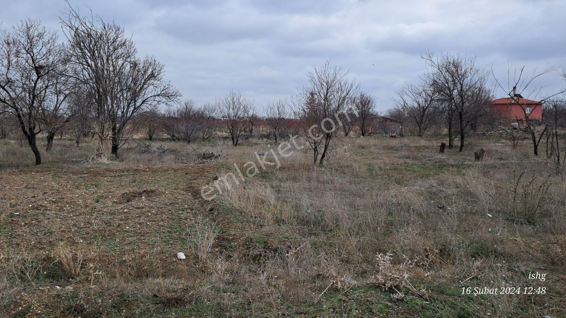 Dervişhan Sok Yakını İntikal Bölünmesi 905m2 Den 3 Parça Bahçe Yeri - Görsel 14