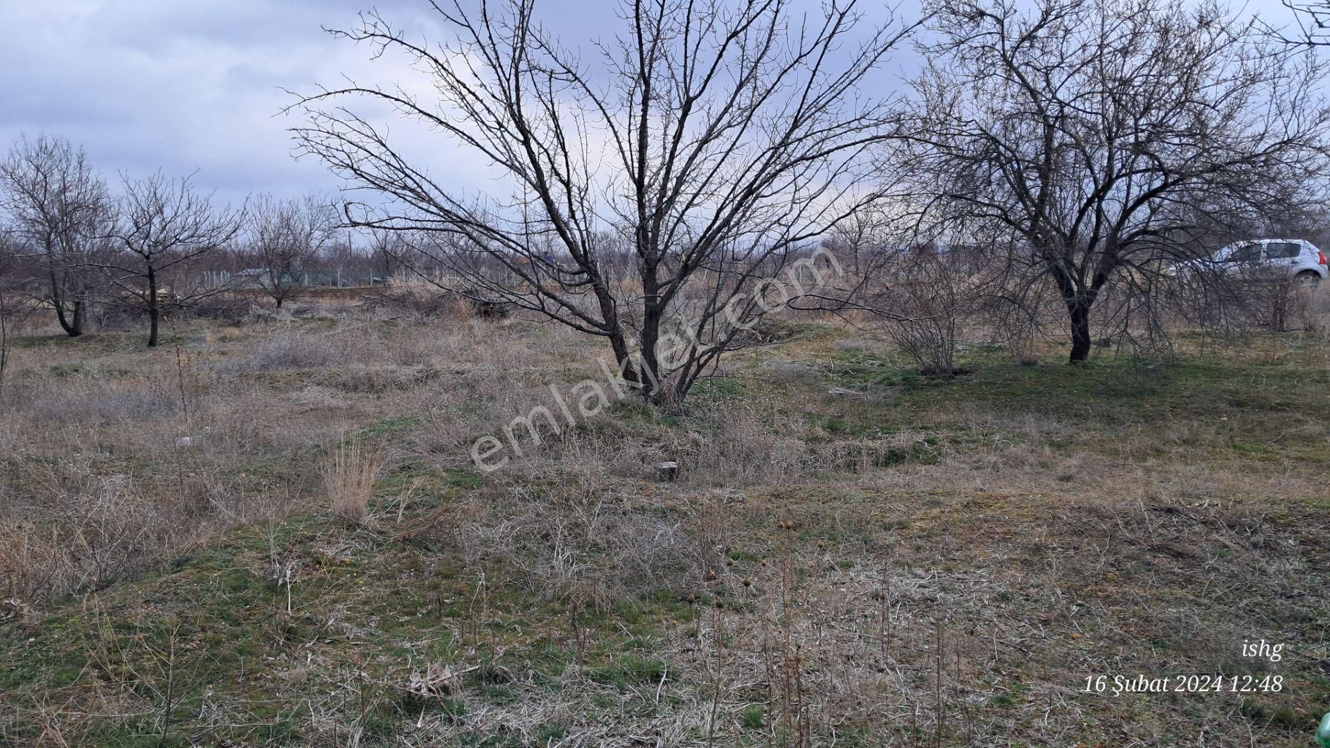 Dervişhan Sok Yakını İntikal Bölünmesi 905m2 Den 3 Parça Bahçe Yeri - Görsel 12