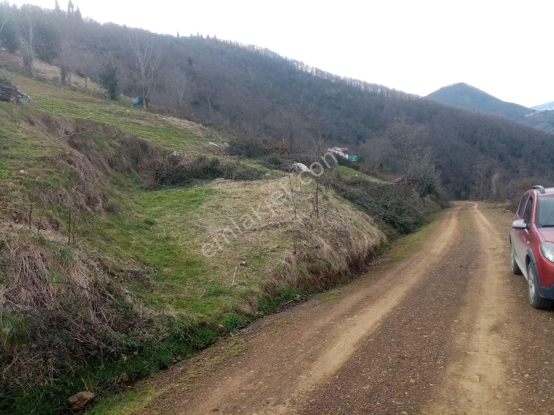 Akçaabat Yeşilyurt Satılık Tarla Acil. Fiyat Düştü. İhtiyaçtan Akçaabat Yeşilyurt'ta 500 M2 Deniz Manzaralı Düz Arazi