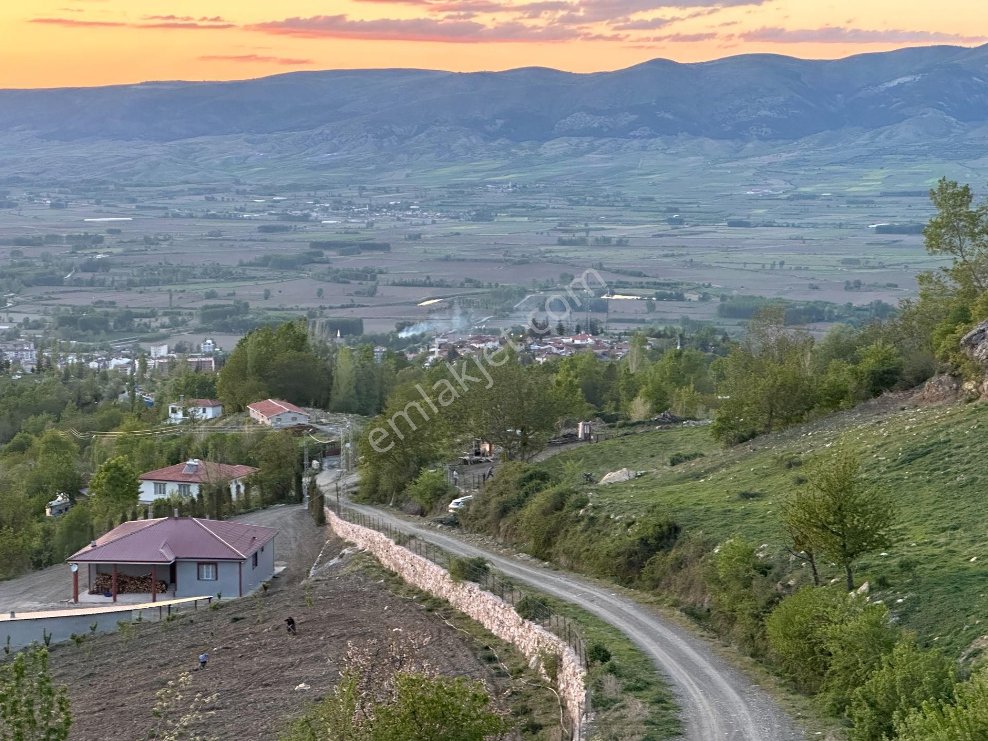 Pazar Ocaklı Köyü Satılık Bağ & Bahçe  Yankı'dan Tokat Pazar Erkilet'de Müstakil 7.150 M2 Satılık Bahçe