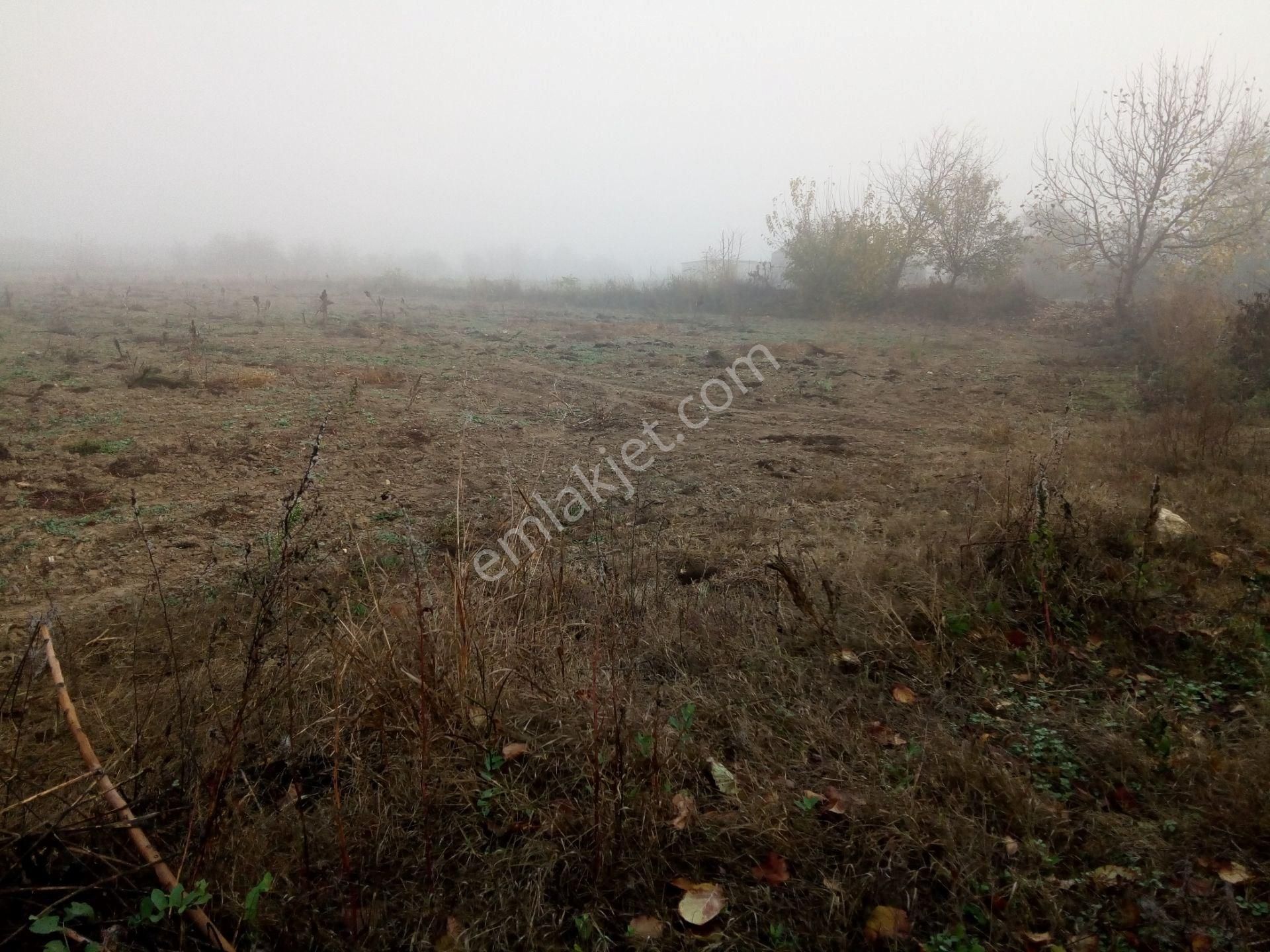 Karaağaç Fen Lisesi Karşısı Satılık Arazi - Görsel 5