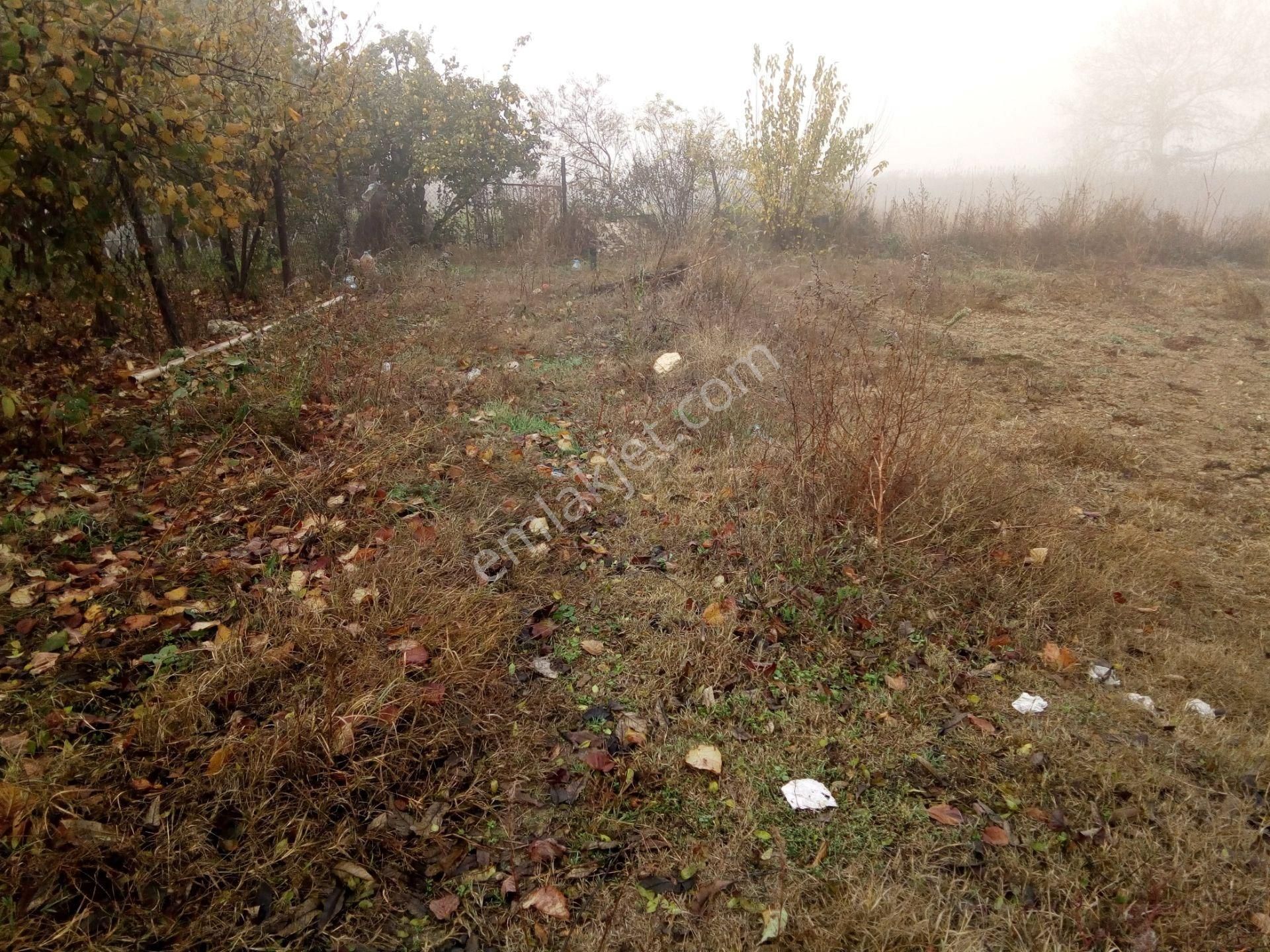 Karaağaç Fen Lisesi Karşısı Satılık Arazi - Görsel 2