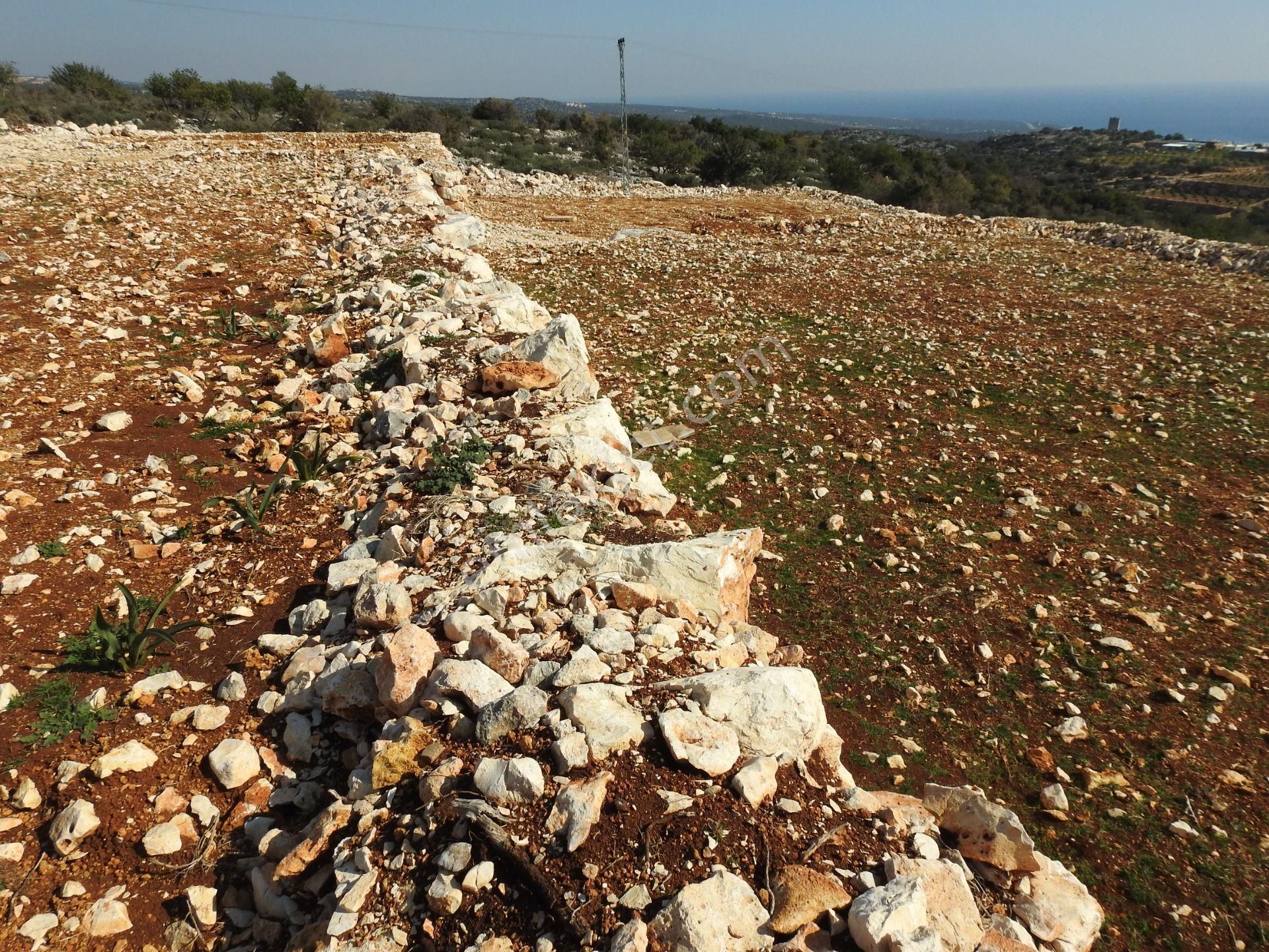 Narlıkuyu Hasanaliler De Deniz Ve Kale Manzaralı Satılık 1400 M2 Tarla!!! - Görsel 12