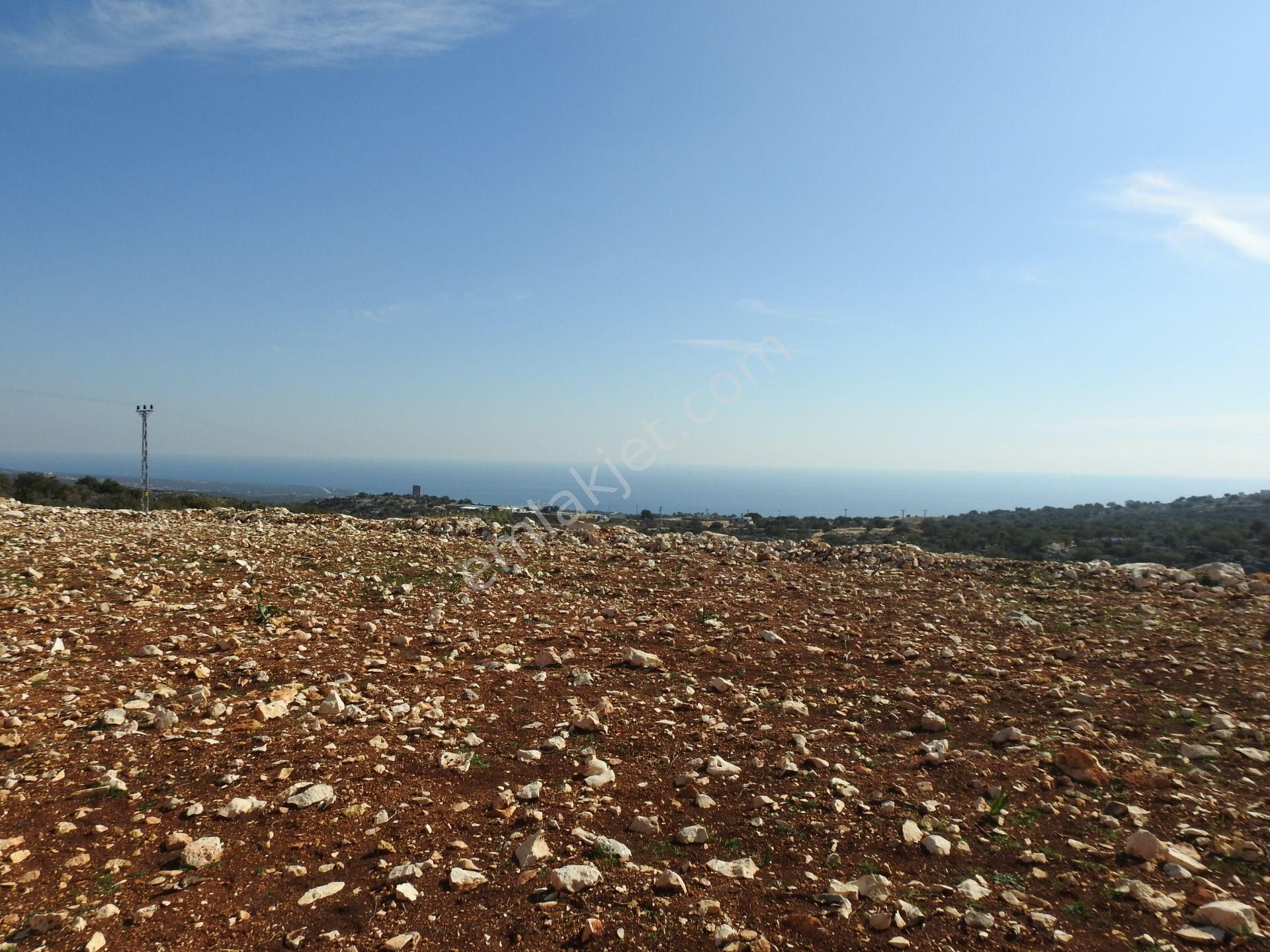 Narlıkuyu Hasanaliler De Deniz Ve Kale Manzaralı Satılık 1400 M2 Tarla!!! - Görsel 25
