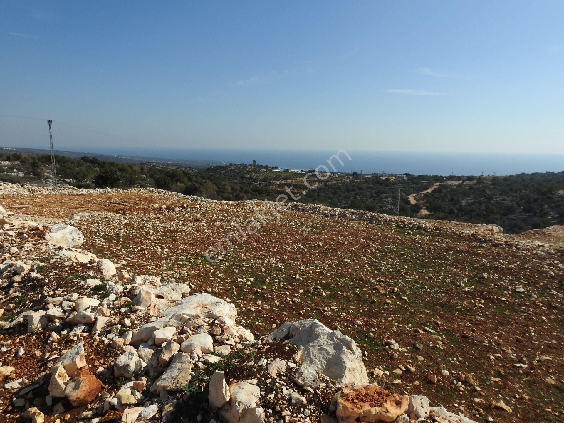 Narlıkuyu Hasanaliler De Deniz Ve Kale Manzaralı Satılık 1400 M2 Tarla!!! - Görsel 21