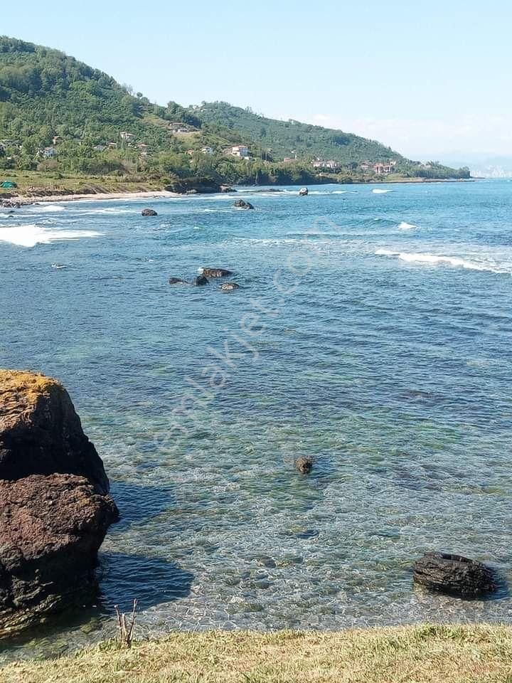 Perşembe Çaytepe Satılık Bağ & Bahçe Perşembe Caytepe mahallesi satılık imarlı konut arsası.