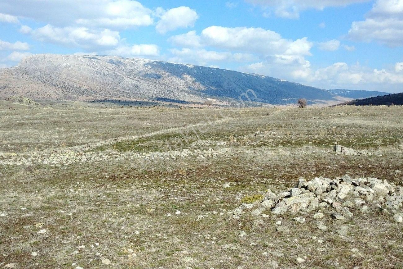 Sağlıkta Müstakil Tapulu Fidancılık, Hayvancılık Yapmaya Uygun Nitelikli Arazi