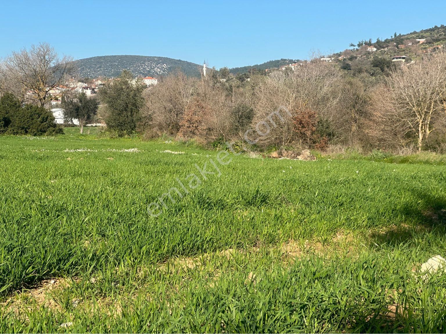 Milas Bodrum Arasında Kuzyakada 8500m2 Anayola Sıfır Satılık Tarla - Görsel 8