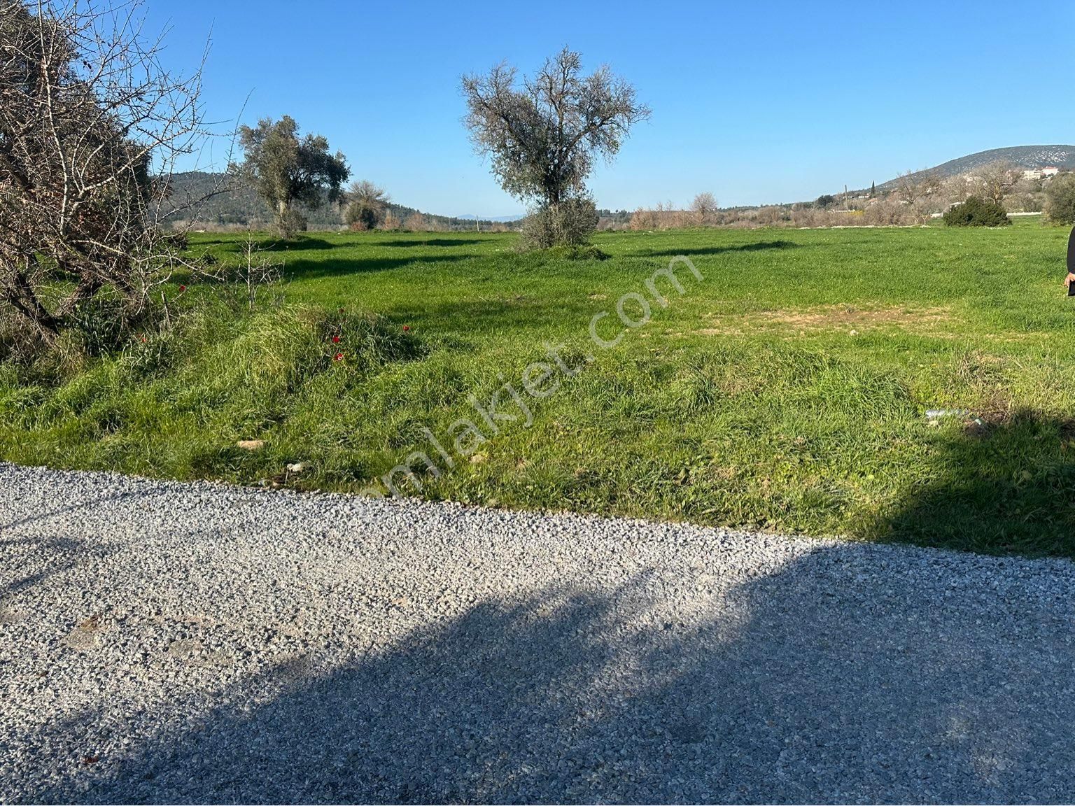 Milas Bodrum Arasında Kuzyakada 8500m2 Anayola Sıfır Satılık Tarla - Görsel 2