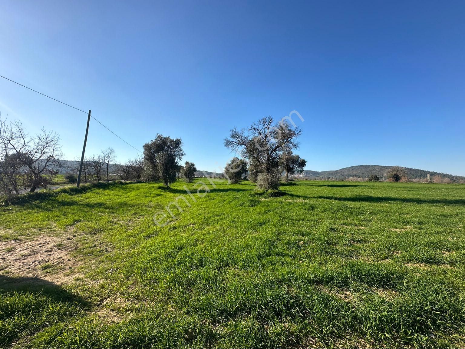 Milas Bodrum Arasında Kuzyakada 8500m2 Anayola Sıfır Satılık Tarla - Görsel 14